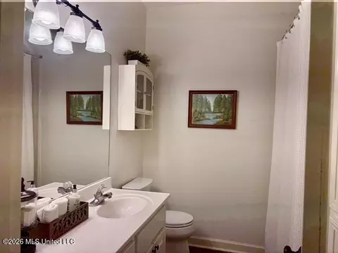 803 Annandale Rd, Madison, MS 39110 photo 16