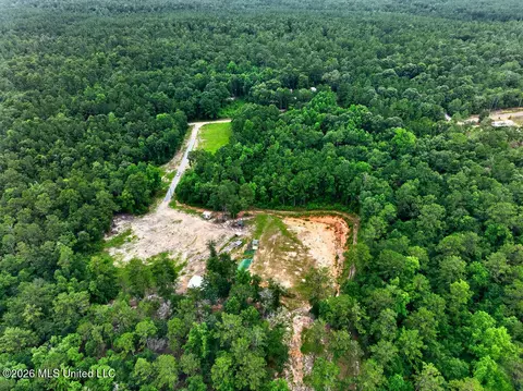 94 Desoto Rd, Mchenry, MS 39561