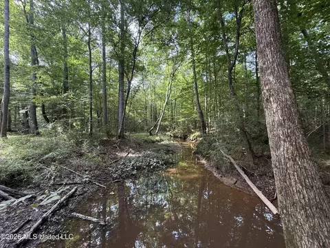 Other - 1167 Todd Rd, Summit, MS 39666 photo 9 of 16