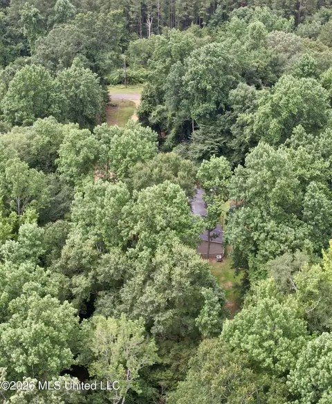 Other - 1167 Todd Rd, Summit, MS 39666 photo 10 of 16