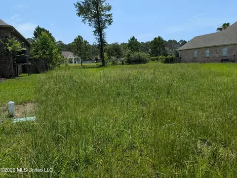 Old Savannah Drive, Long Beach, MS 39560 photo 2