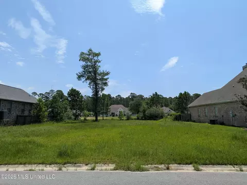 Old Savannah Drive, Long Beach, MS 39560 photo 3