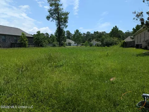 Old Savannah Drive, Long Beach, MS 39560 photo 4