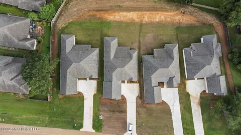 View/Area - 256 Caroline Blvd, Madison, MS 39110 photo 1 of 4