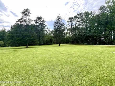 Exterior - 399 Freeman Rd SW, Summit, MS 39666 photo 4 of 7