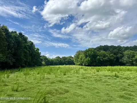 Lexington Road, Pickens, MS 39146 photo 3