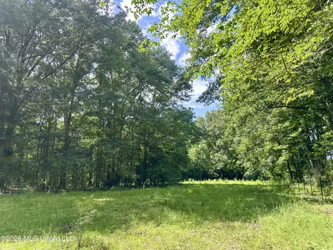 Lexington Road, Pickens, MS 39146 photo 6