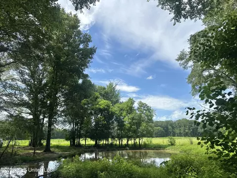 Lexington Road, Pickens, MS 39146