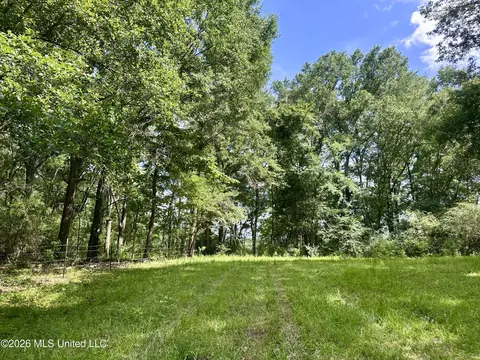 Lexington Road, Pickens, MS 39146 photo 5