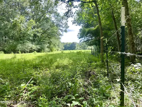 Lexington Road, Pickens, MS 39146 photo 4