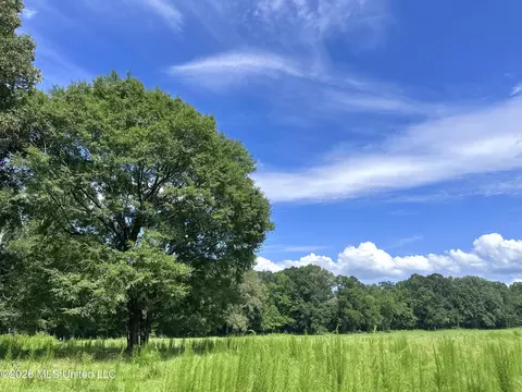Lexington Road, Pickens, MS 39146 photo 8