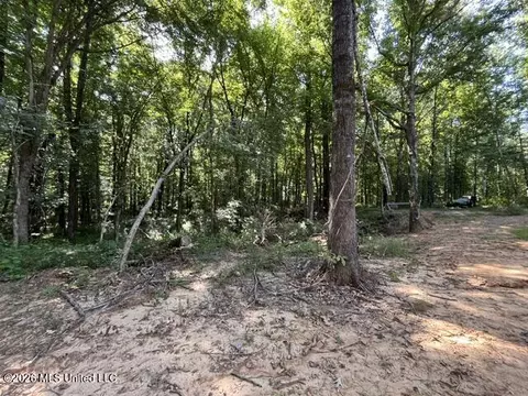 Other - 1970 Smart Rd, Como, MS 38619 photo 5 of 6