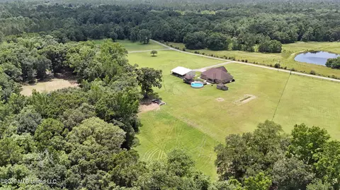 Other - 25034 Yellow Bluff Rd, Lucedale, MS 39452 photo 18 of 18