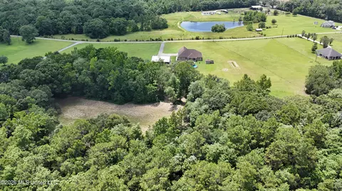 View/Area - 25034 Yellow Bluff Rd, Lucedale, MS 39452 photo 3 of 5