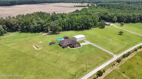 Other - 25034 Yellow Bluff Rd, Lucedale, MS 39452 photo 17 of 18