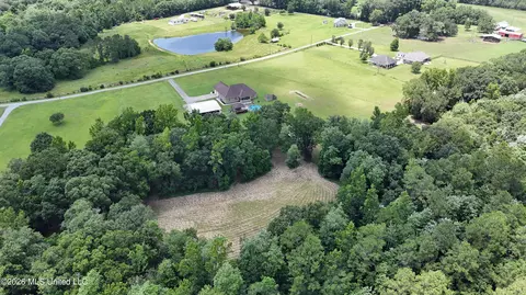 View/Area - 25034 Yellow Bluff Rd, Lucedale, MS 39452 photo 1 of 5