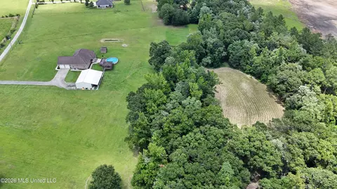 View/Area - 25034 Yellow Bluff Rd, Lucedale, MS 39452 photo 4 of 5