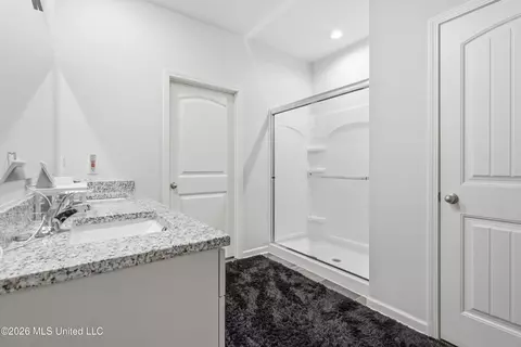 Bath - 2333 Hyacinth Ln, Hernando, MS 38632 photo 1 of 2