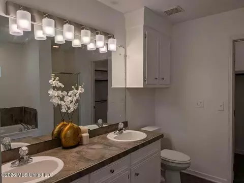 Bath - 317 Cobblestone Dr, Madison, MS 39110 photo 1 of 3