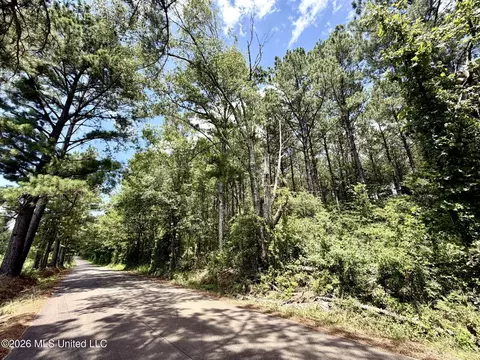 Nnn W Lincoln Drive, Smithdale, MS 39664