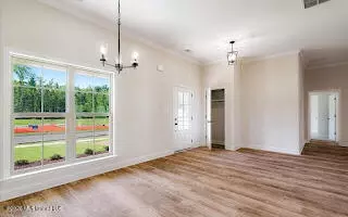 Other - 2263 Scott Mdws Ln, Hernando, MS 38632 photo 3 of 10