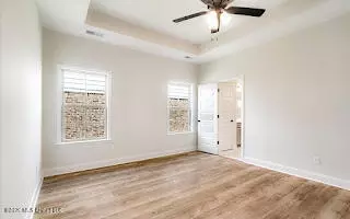 Other - 2263 Scott Mdws Ln, Hernando, MS 38632 photo 4 of 10