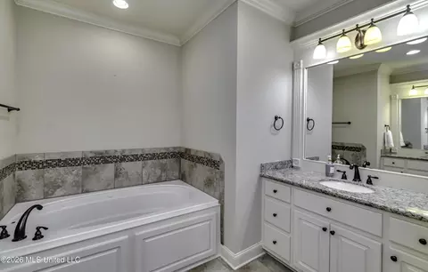 Bath - 146 Hemlock Ln, Madison, MS 39110 photo 5 of 8