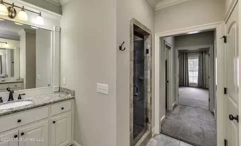 Bath - 146 Hemlock Ln, Madison, MS 39110 photo 8 of 8