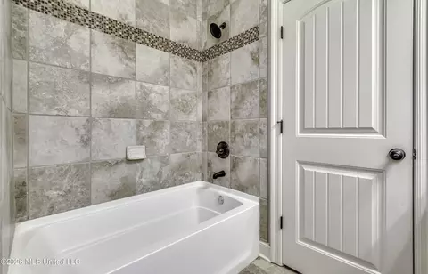 Bath - 146 Hemlock Ln, Madison, MS 39110 photo 3 of 8