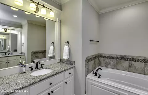 Bath - 146 Hemlock Ln, Madison, MS 39110 photo 6 of 8