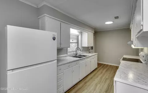 Kitchen - 314 Hanging Moss Cir, Jackson, MS 39206 photo 4 of 4