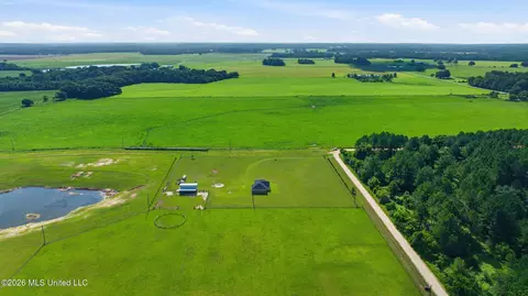 View/Area - 15450 Constitution Rd, Moss Point, MS 39562 photo 5 of 7