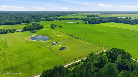 View/Area - 15450 Constitution Rd, Moss Point, MS 39562 photo 6 of 7