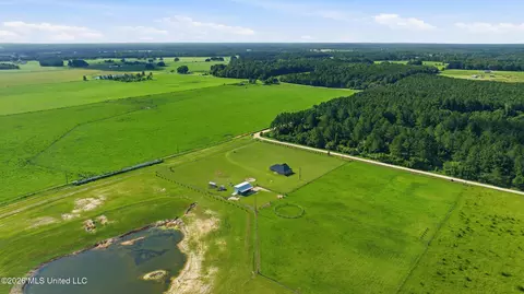 View/Area - 15450 Constitution Rd, Moss Point, MS 39562 photo 4 of 7
