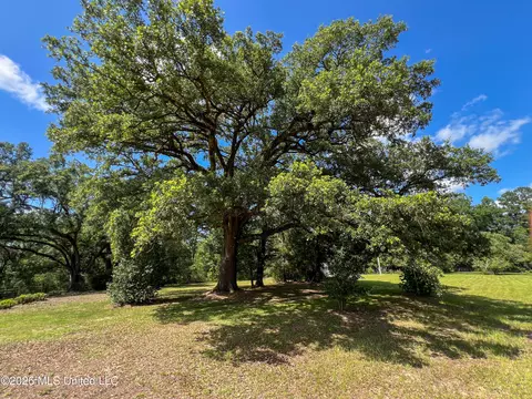 Other - 1309 Mcinnis Vernal Rd, Lucedale, MS 39452 photo 1 of 7