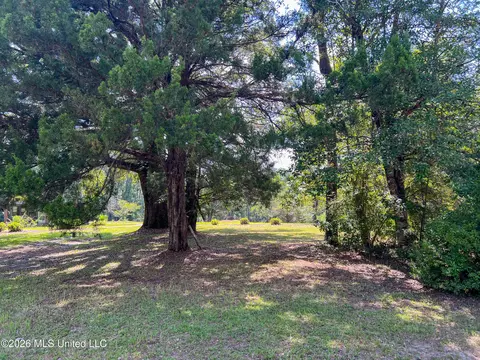 Exterior - 1309 Mcinnis Vernal Rd, Lucedale, MS 39452 photo 4 of 13