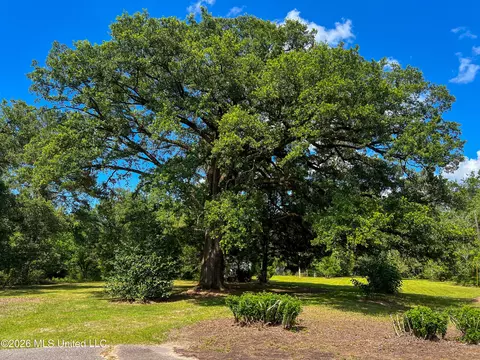 Other - 1309 Mcinnis Vernal Rd, Lucedale, MS 39452 photo 6 of 7