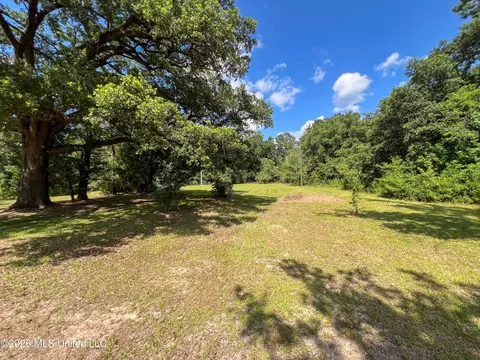 Other - 1309 Mcinnis Vernal Rd, Lucedale, MS 39452 photo 7 of 7