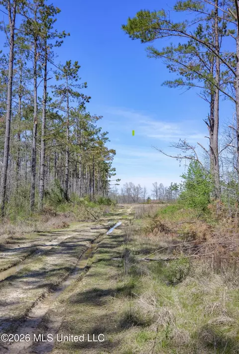 Wise Bend Road, Thaxton, MS 38871 photo 22