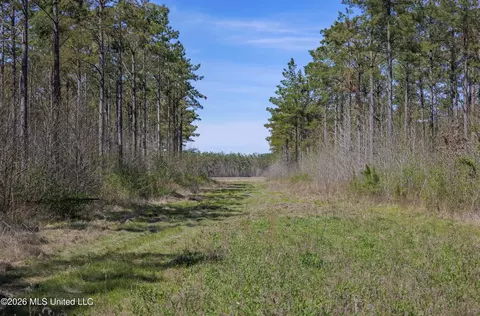 Wise Bend Road, Thaxton, MS 38871 photo 19