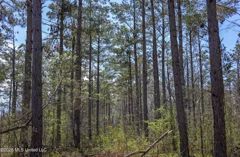 Wise Bend Road, Thaxton, MS 38871 photo 21