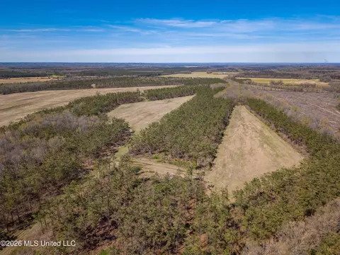 Wise Bend Road, Thaxton, MS 38871