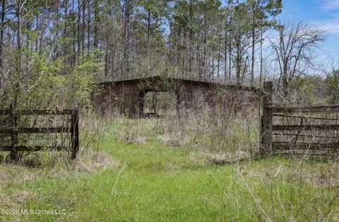 Wise Bend Road, Thaxton, MS 38871 photo 8