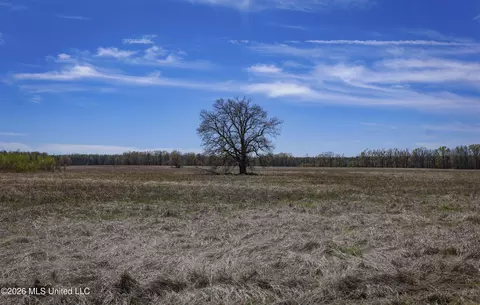 Wise Bend Road, Thaxton, MS 38871 photo 11