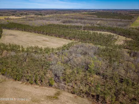 Wise Bend Road, Thaxton, MS 38871 photo 2