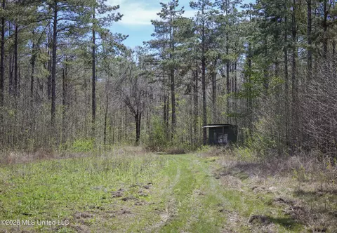 Wise Bend Road, Thaxton, MS 38871 photo 15