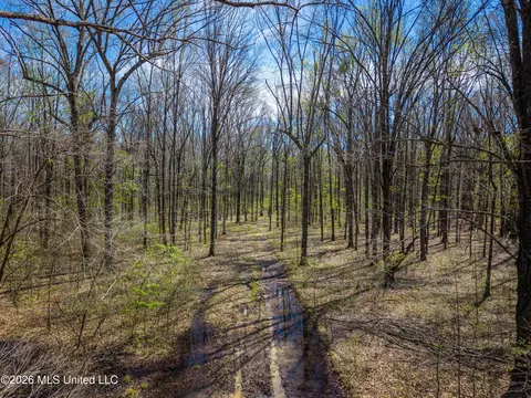 Wise Bend Road, Thaxton, MS 38871 photo 5
