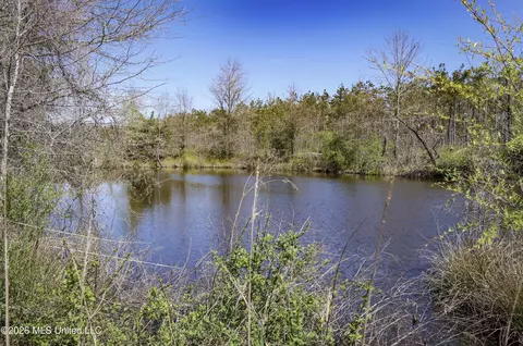 Wise Bend Road, Thaxton, MS 38871 photo 10
