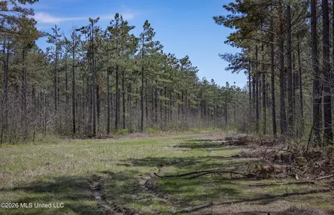 Wise Bend Road, Thaxton, MS 38871 photo 13