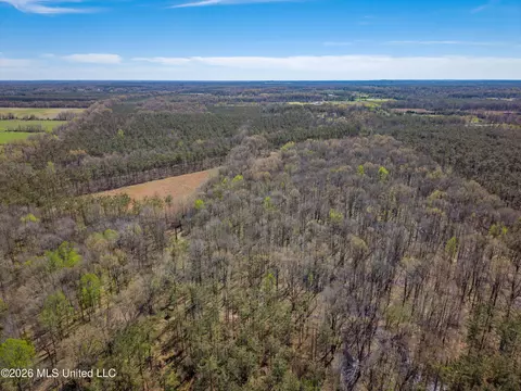 Wise Bend Road, Thaxton, MS 38871 photo 7